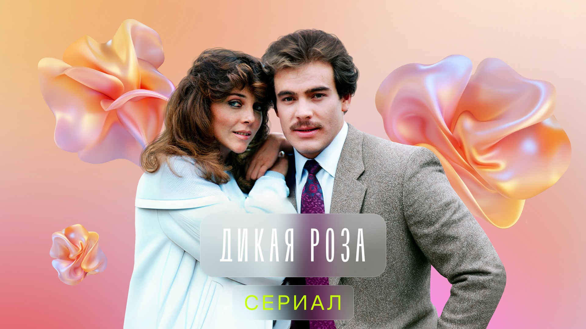 Дикая роза